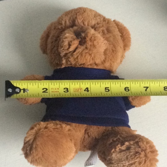 Brown Teddy Bear with Blue Tee Shirt/Steven Smith - Picture 7 of 7